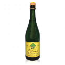 Pétillant de raisin blanc BIRIUS