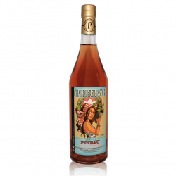 Pineau rosé CHAI DU ROUISSOIR