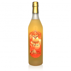Liqueur à l’orange BIRIUS (70cl)